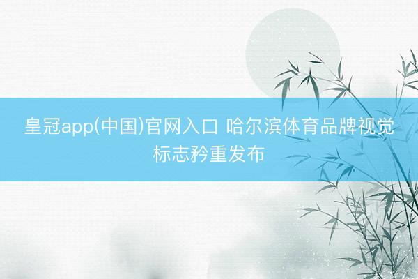 皇冠app(中国)官网入口 哈尔滨体育品牌视觉标志矜重发布