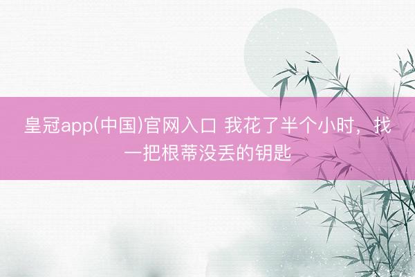 皇冠app(中国)官网入口 我花了半个小时，找一把根蒂没丢的钥匙