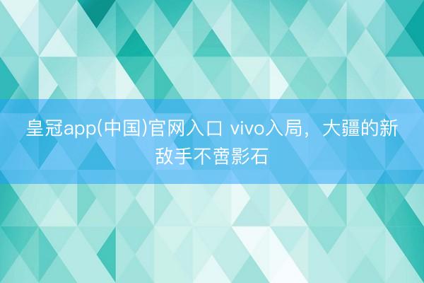 皇冠app(中国)官网入口 vivo入局，大疆的新敌手不啻影石