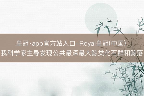 皇冠·app官方站入口-Royal皇冠(中国) 我科学家主导发现公共最深最大鲸类化石群和鲸落