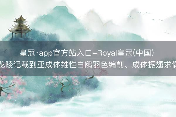 皇冠·app官方站入口-Royal皇冠(中国) 龙陵记载到亚成体雄性白鹇羽色编削、成体振翅求偶