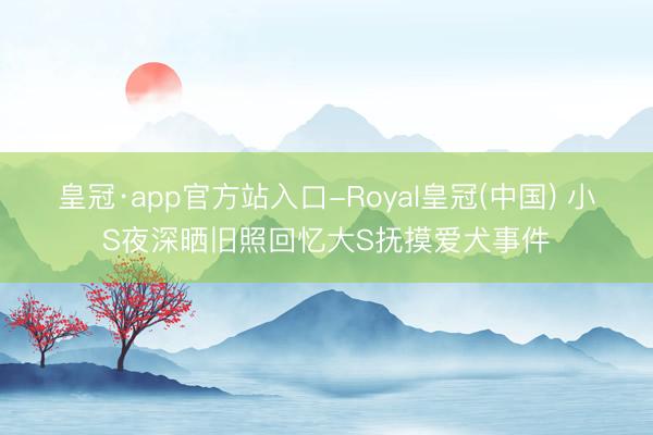 皇冠·app官方站入口-Royal皇冠(中国) 小S夜深晒旧照回忆大S抚摸爱犬事件