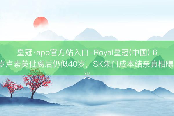 皇冠·app官方站入口-Royal皇冠(中国) 65岁卢素英仳离后仍似40岁，SK朱门成本结亲真相曝光