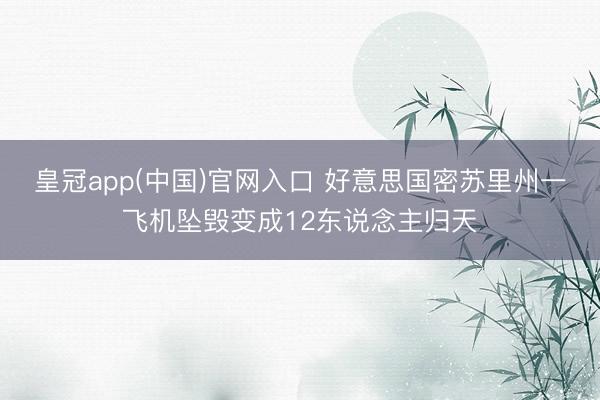 皇冠app(中国)官网入口 好意思国密苏里州一飞机坠毁变成12东说念主归天