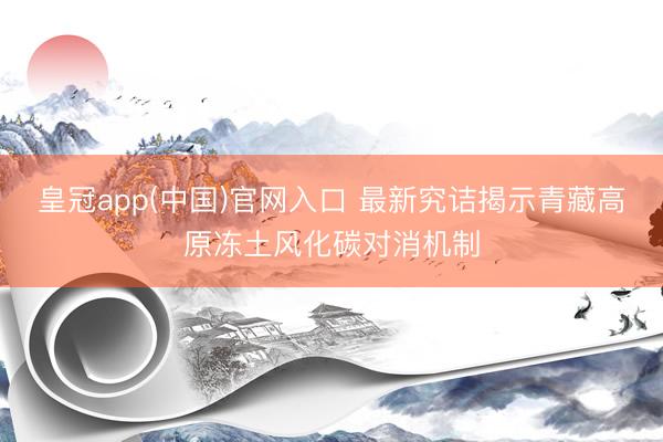 皇冠app(中国)官网入口 最新究诘揭示青藏高原冻土风化碳对消机制
